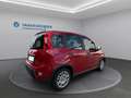 Fiat Panda * TOP - AKTION* Rot - thumbnail 5