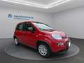 Fiat Panda * TOP - AKTION* Rot - thumbnail 3