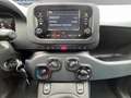 Fiat Panda * TOP - AKTION* Rot - thumbnail 15