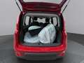 Fiat Panda * TOP - AKTION* Rot - thumbnail 19
