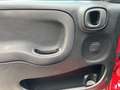 Fiat Panda * TOP - AKTION* Rot - thumbnail 10