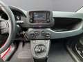 Fiat Panda * TOP - AKTION* Rot - thumbnail 16