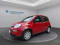 Fiat Panda Panda Rouge - thumbnail 1