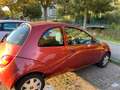 Ford Ka/Ka+ Ka/Ka+ 1.3 Cool Piros - thumbnail 3