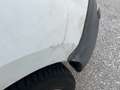 Renault Kangoo 1,5 dCi EXPORT !!! Weiß - thumbnail 8