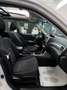 Subaru Forester Beige - thumbnail 9