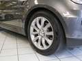 Land Rover Range Rover Sport 3.0 TDV6 HSE DYNAMIC IVA ESPOSTA Grigio - thumbnail 6