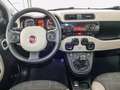 Fiat Panda 1.3 mjt 16v 4x4 75cv e5+ - thumbnail 13