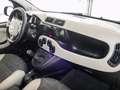 Fiat Panda 1.3 mjt 16v 4x4 75cv e5+ - thumbnail 11