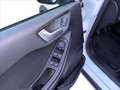 Ford Fiesta 1.0 Ecoboost Hybrid 125 CV 5 porte Active Blanco - thumbnail 15