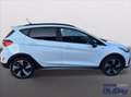 Ford Fiesta 1.0 Ecoboost Hybrid 125 CV 5 porte Active Blanco - thumbnail 4