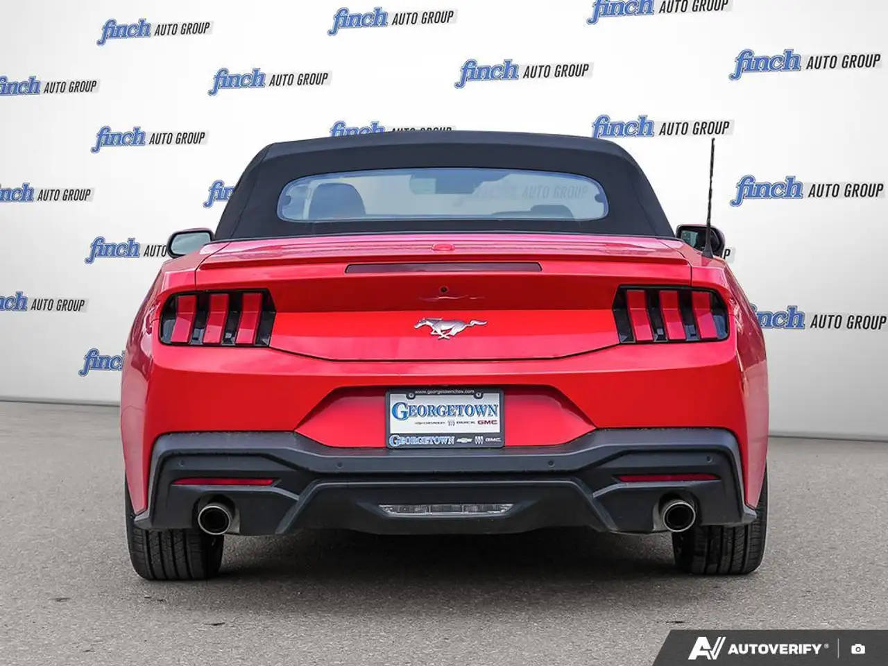 Ford Mustang fotografie Ford Mustang