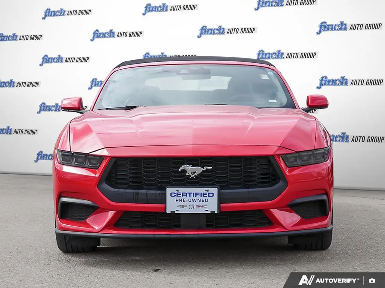 Ford Mustang fotografie Ford Mustang