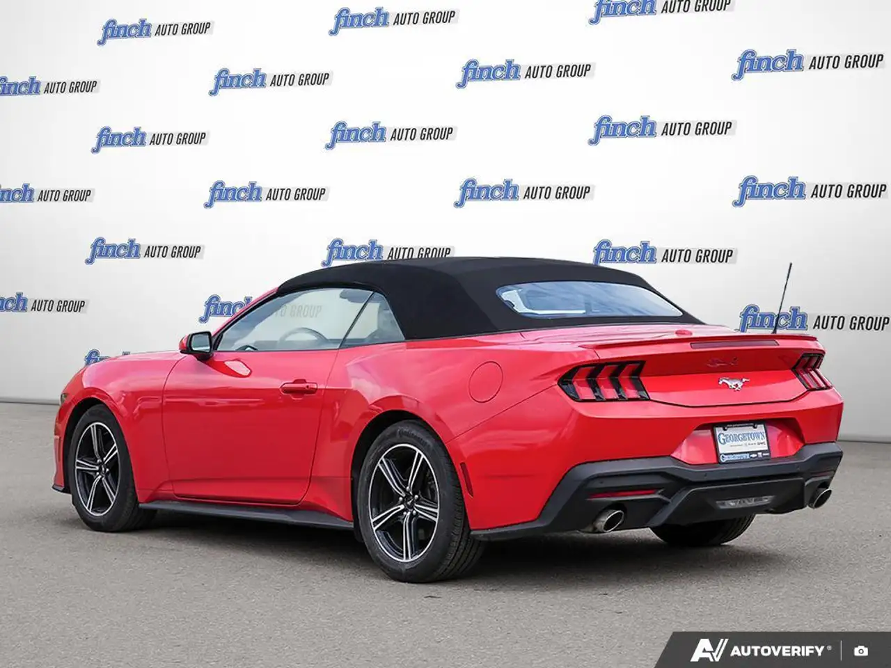 Ford Mustang fotografie Ford Mustang