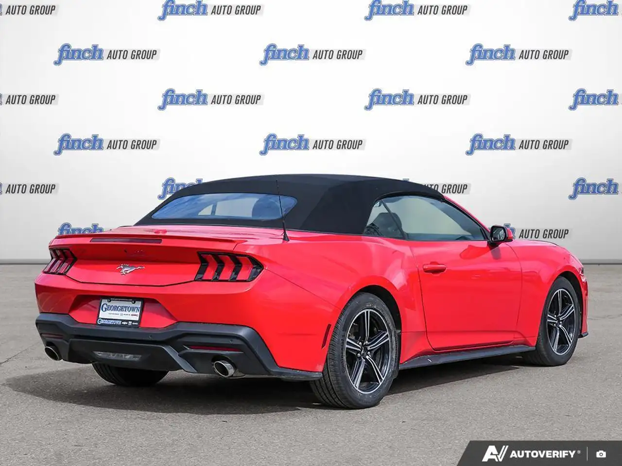 Ford Mustang fotografie Ford Mustang