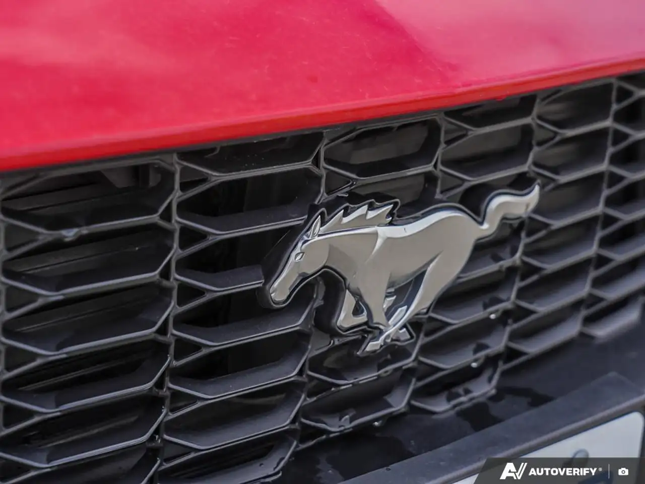 Ford Mustang fotografie Ford Mustang