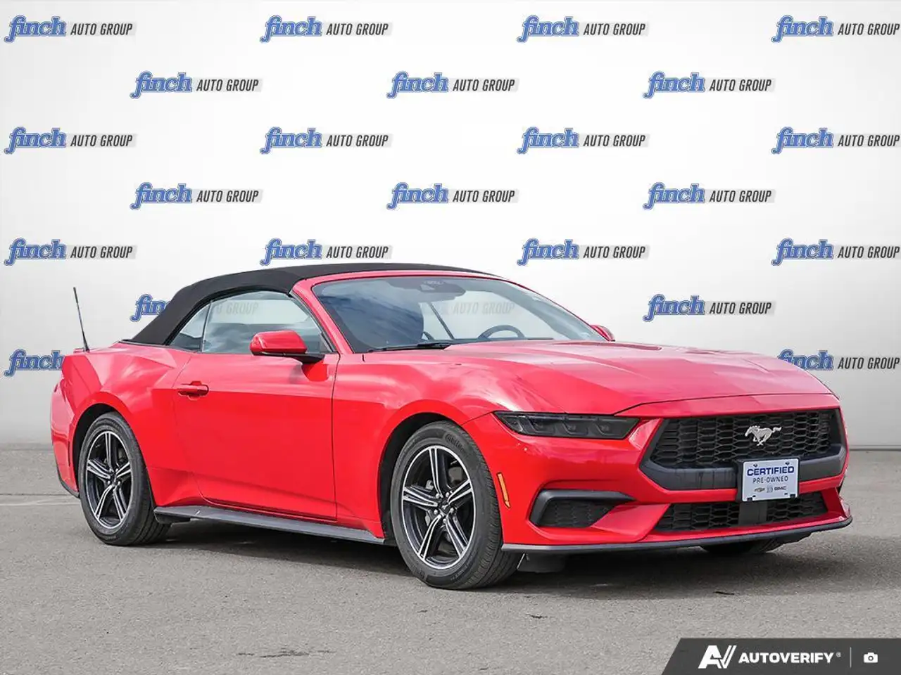 Ford Mustang fotografie Ford Mustang