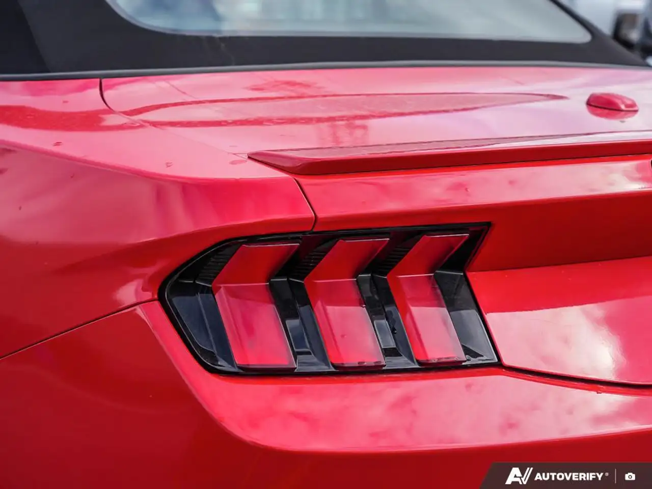 Ford Mustang fotografie Ford Mustang