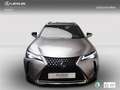 Lexus UX 250h Business 2WD Gris - thumbnail 1