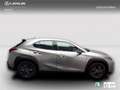 Lexus UX 250h Business 2WD Gris - thumbnail 3