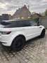 Rover Sonstige Evoque Weiß - thumbnail 3