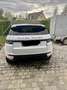 Rover Sonstige Evoque Weiß - thumbnail 4