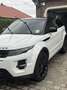 Rover Sonstige Evoque Weiß - thumbnail 2