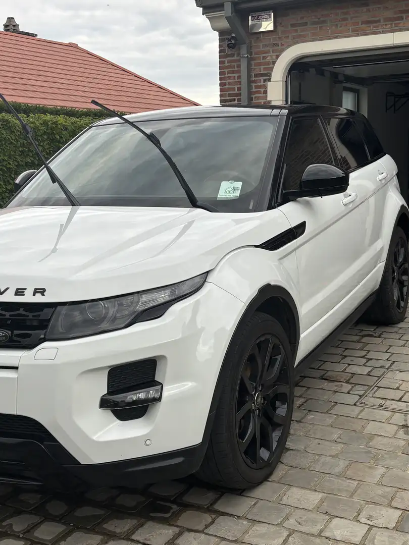Rover Sonstige Evoque Weiß - 2