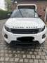 Rover Sonstige Evoque Weiß - thumbnail 1