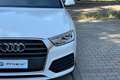 Audi Q3 Q3 2.0 TDI 120 CV Sport Bianco - thumbnail 12