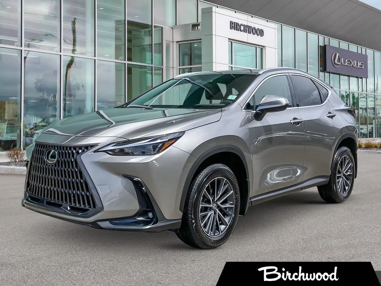 2026 Lexus NX