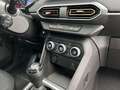 Dacia Sandero Stepway Expression TCe 100 ECO-G S. Dach Vert - thumbnail 23