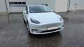 Tesla Model Y Model Y Long Range Dual Motor AWD Weiß - thumbnail 3