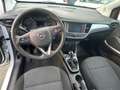 Opel Crossland Crossland X 1.6 ECOTEC D 8V Start&Stop Ultimate Bianco - thumbnail 7