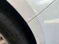 Ford S-Max 2.0 EcoBlue 4x4 Titanium | 5-Sitzer | ACC | AHK Weiß - thumbnail 37