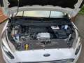 Ford S-Max 2.0 EcoBlue 4x4 Titanium | 5-Sitzer | ACC | AHK Weiß - thumbnail 35