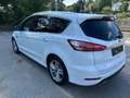 Ford S-Max 2.0 EcoBlue 4x4 Titanium | 5-Sitzer | ACC | AHK Weiß - thumbnail 3