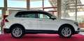 Volkswagen Tiguan 1,4 TSI DSG Sound  NAVI LED ACC RFK Weiß - thumbnail 2