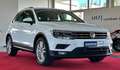 Volkswagen Tiguan 1,4 TSI DSG Sound  NAVI LED ACC RFK Weiß - thumbnail 1