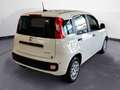 Fiat Panda 1.0 70cv Hybrid PANDA Bianco - thumbnail 5