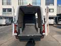 Mercedes-Benz Sprinter 317 CDI Kasten 3665 Klima Trennwand 360 Blanc - thumbnail 17