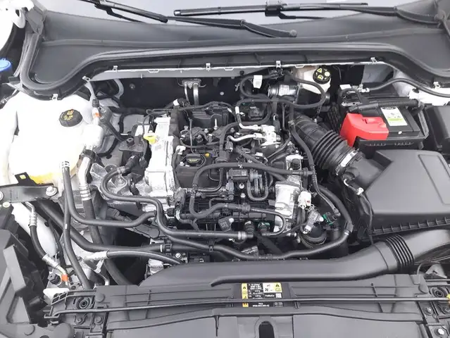 Ford Focus view 13