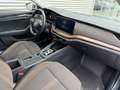 Skoda Octavia Combi Scout 4x4 Blau - thumbnail 11