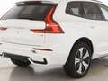 Volvo XC60 T6 Plus Dark Recharge Plug-In Hybrid AWD Weiß - thumbnail 8