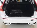 Volvo XC60 T6 Plus Dark Recharge Plug-In Hybrid AWD Weiß - thumbnail 6