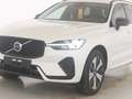 Volvo XC60 T6 Plus Dark Recharge Plug-In Hybrid AWD Weiß - thumbnail 7