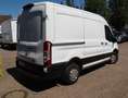 Ford Transit Kasten 320 L2H2 Trend/PDC/Klima/Kamera Blanc - thumbnail 17