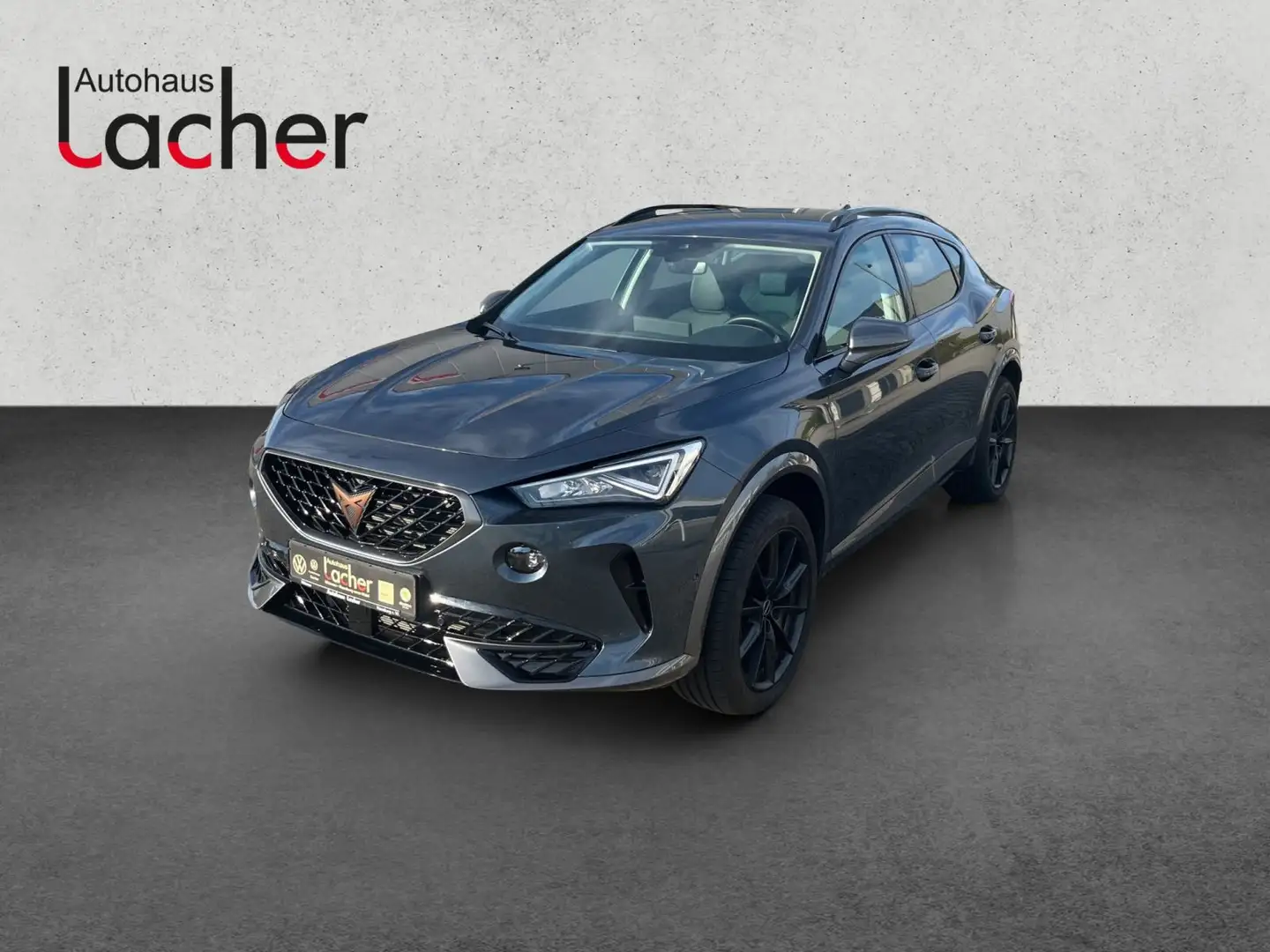 CUPRA Formentor 2.0 TSI 4Drive DSG AHK,Navi,Kamera Gris - 1