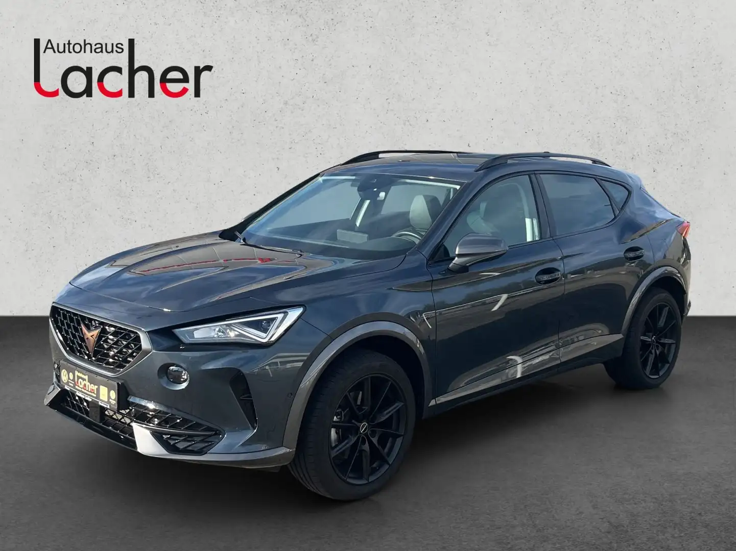 CUPRA Formentor 2.0 TSI 4Drive DSG AHK,Navi,Kamera Gris - 2