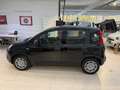 Fiat Sonstige Pandina FireFly Hybrid 70 Icon Schwarz - thumbnail 2